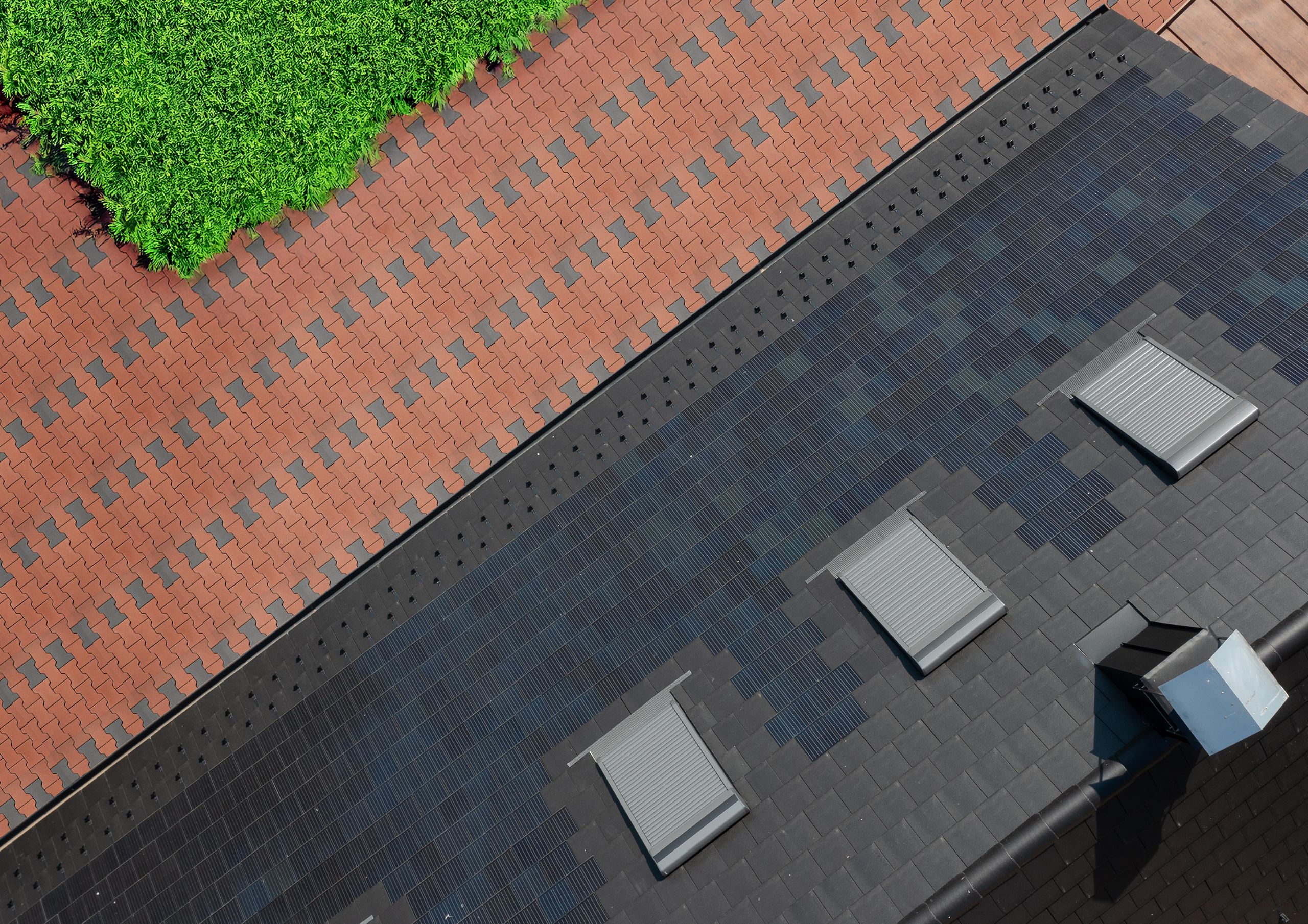 classic-bone-piros-01-Generon_AI 1119