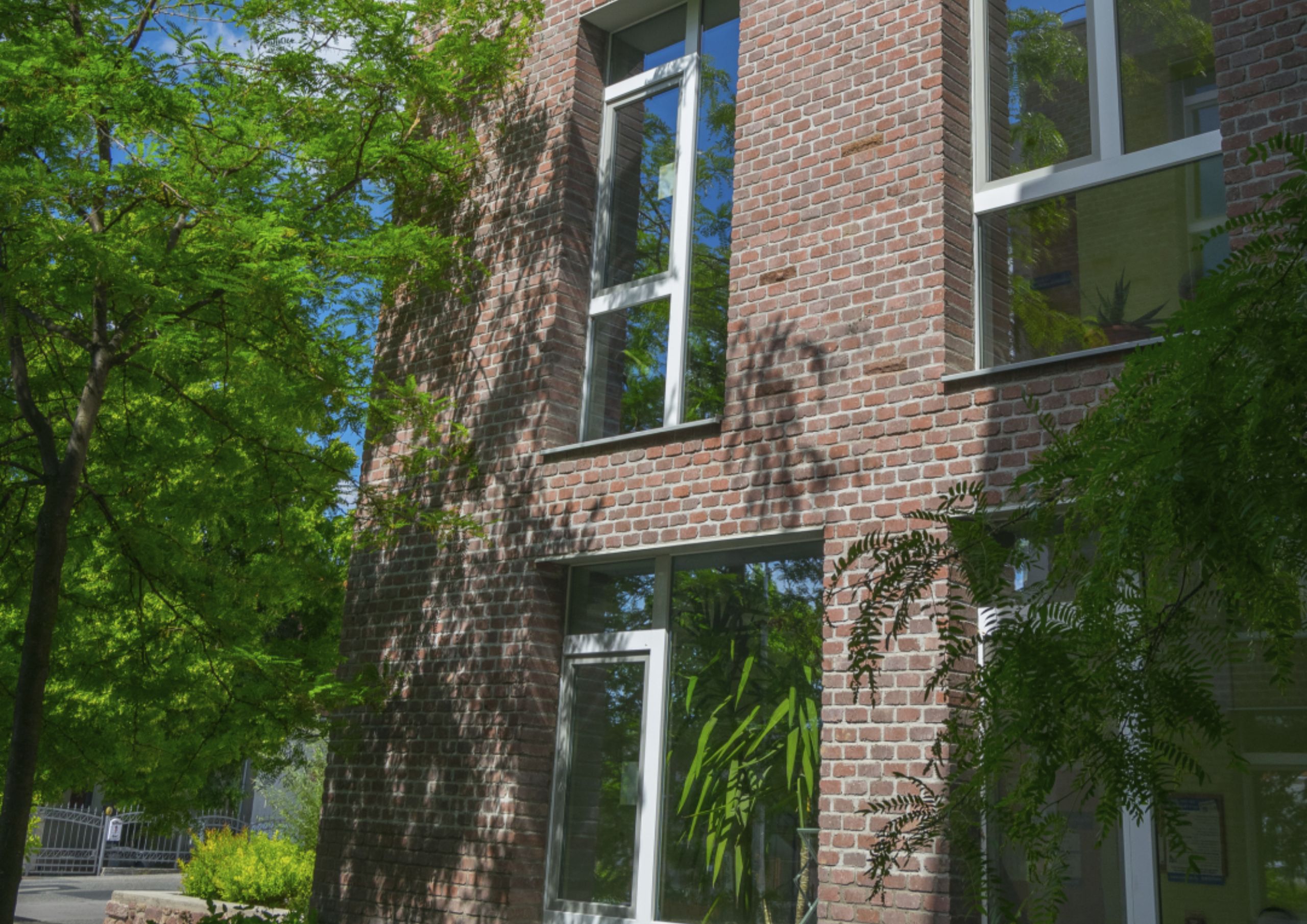 BTimageteglakovorosbarna2